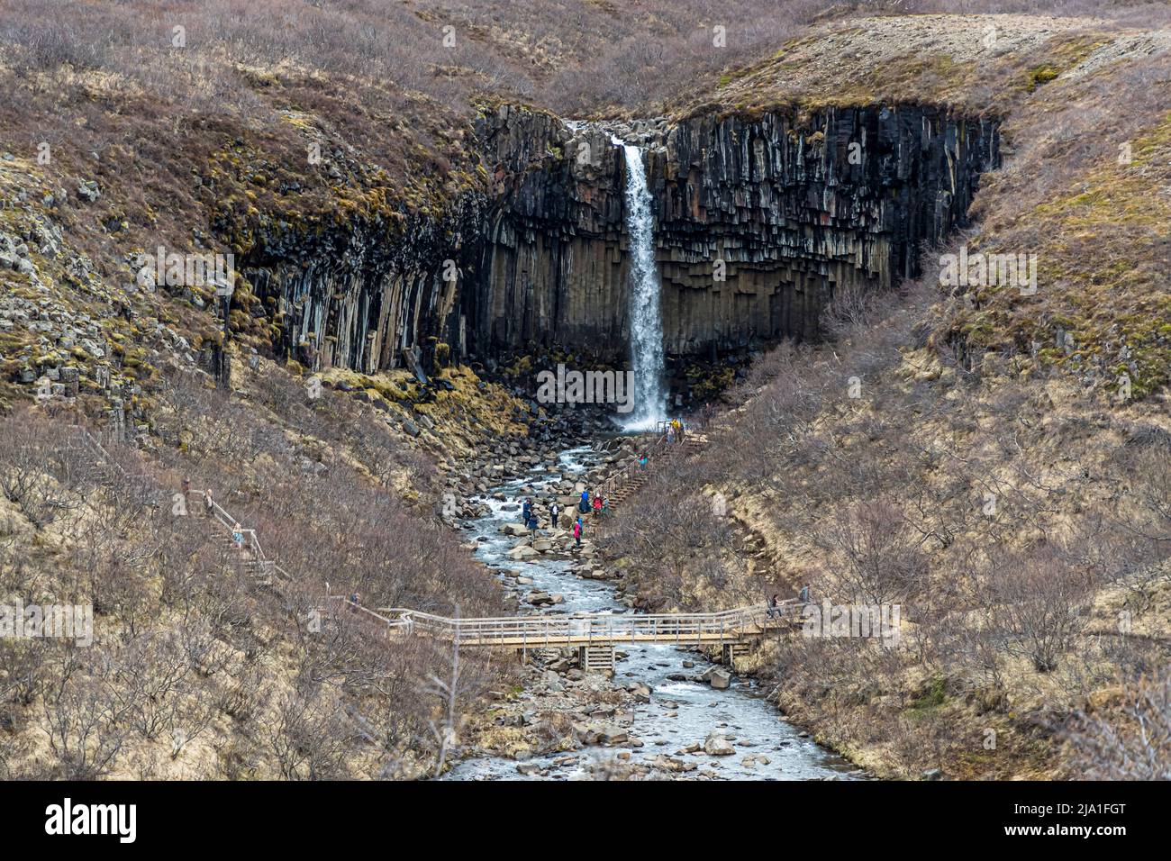 La cascata dello Svartifoss in Islanda Foto Stock