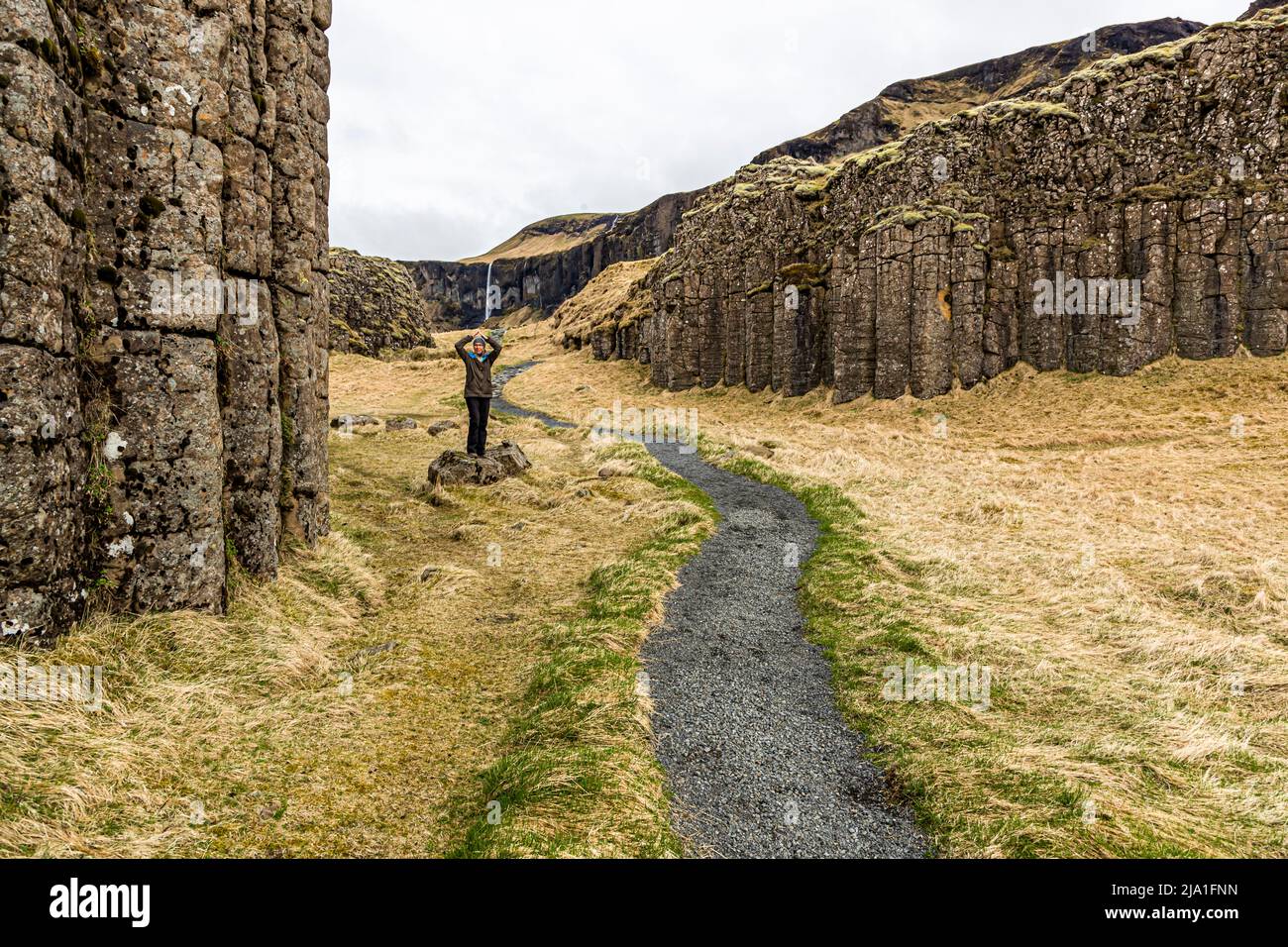 Le scogliere di Dverghamrar Dwarf sono un monumento naturale in Islanda. Sono costituite da colonne esagonali di basalto ricoperte di basalto a forma di cubo Foto Stock