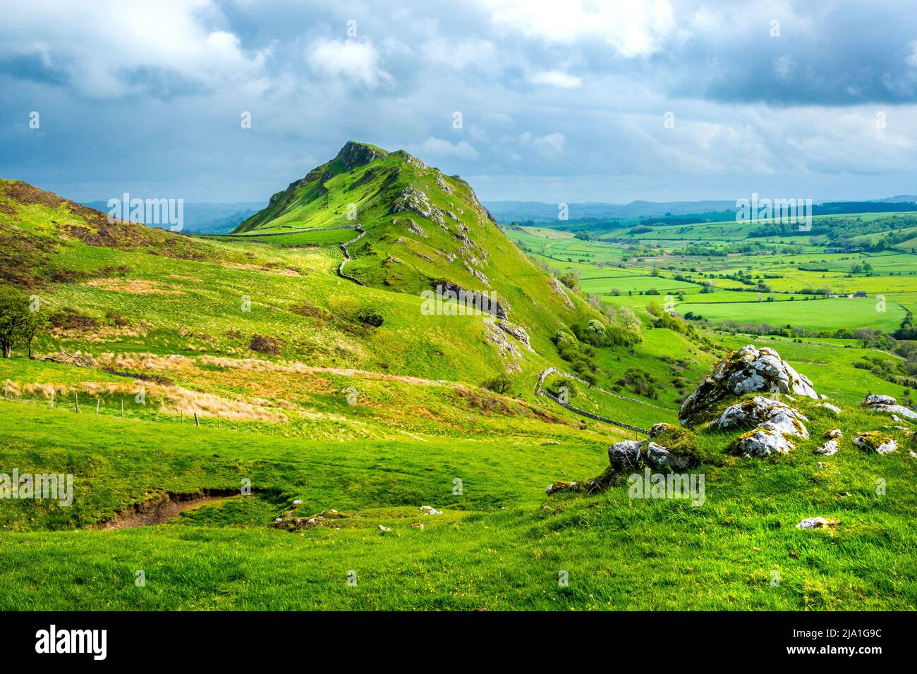 Chrome Hill nel Peak District National Park, Regno Unito, un picco di forma nel calcareo White Peak Foto Stock