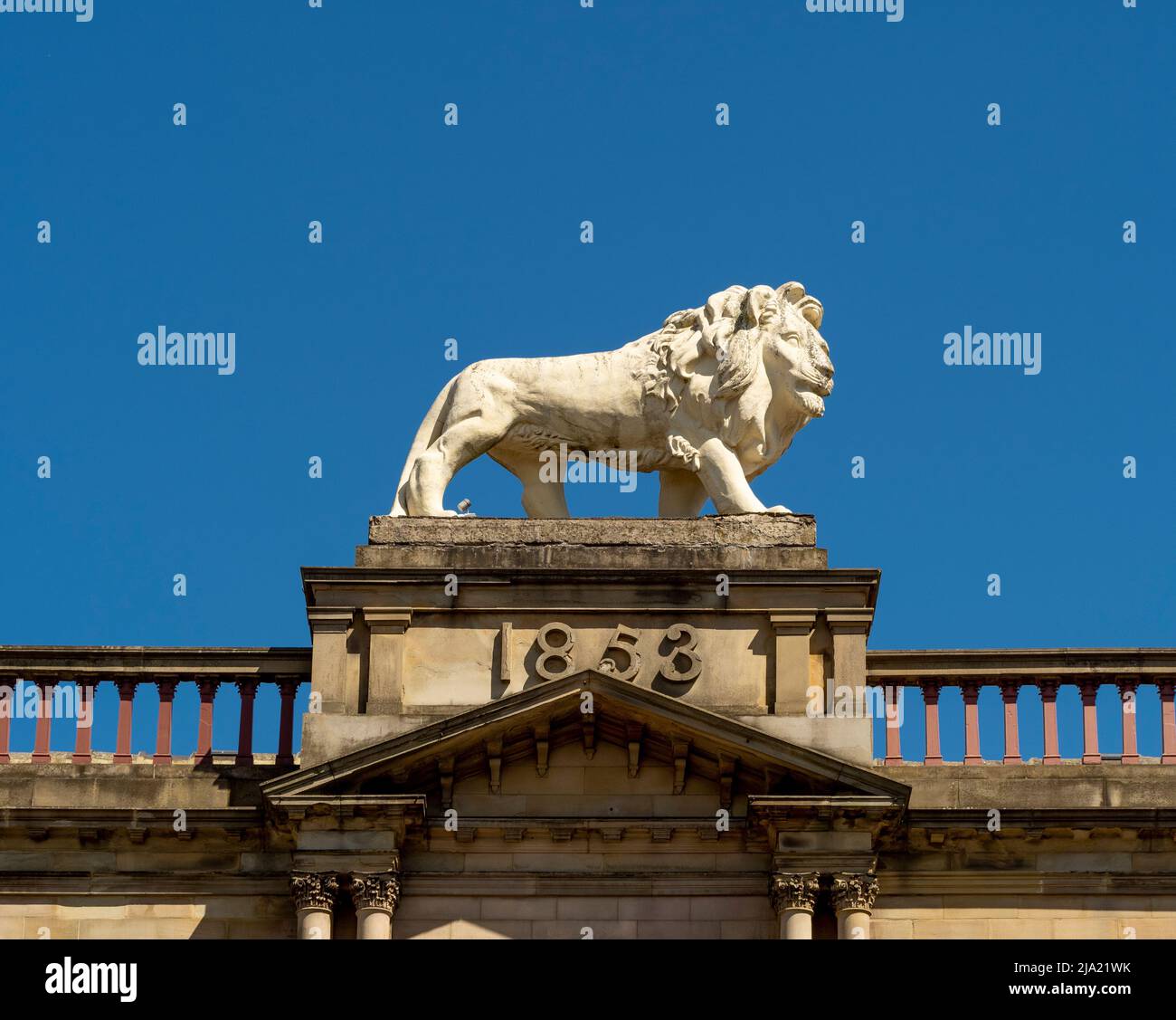 Statua in pietra di Coade del leone in cima agli edifici del Leone su John Williams Street a Huddersfield. West Yorkshire. Foto Stock