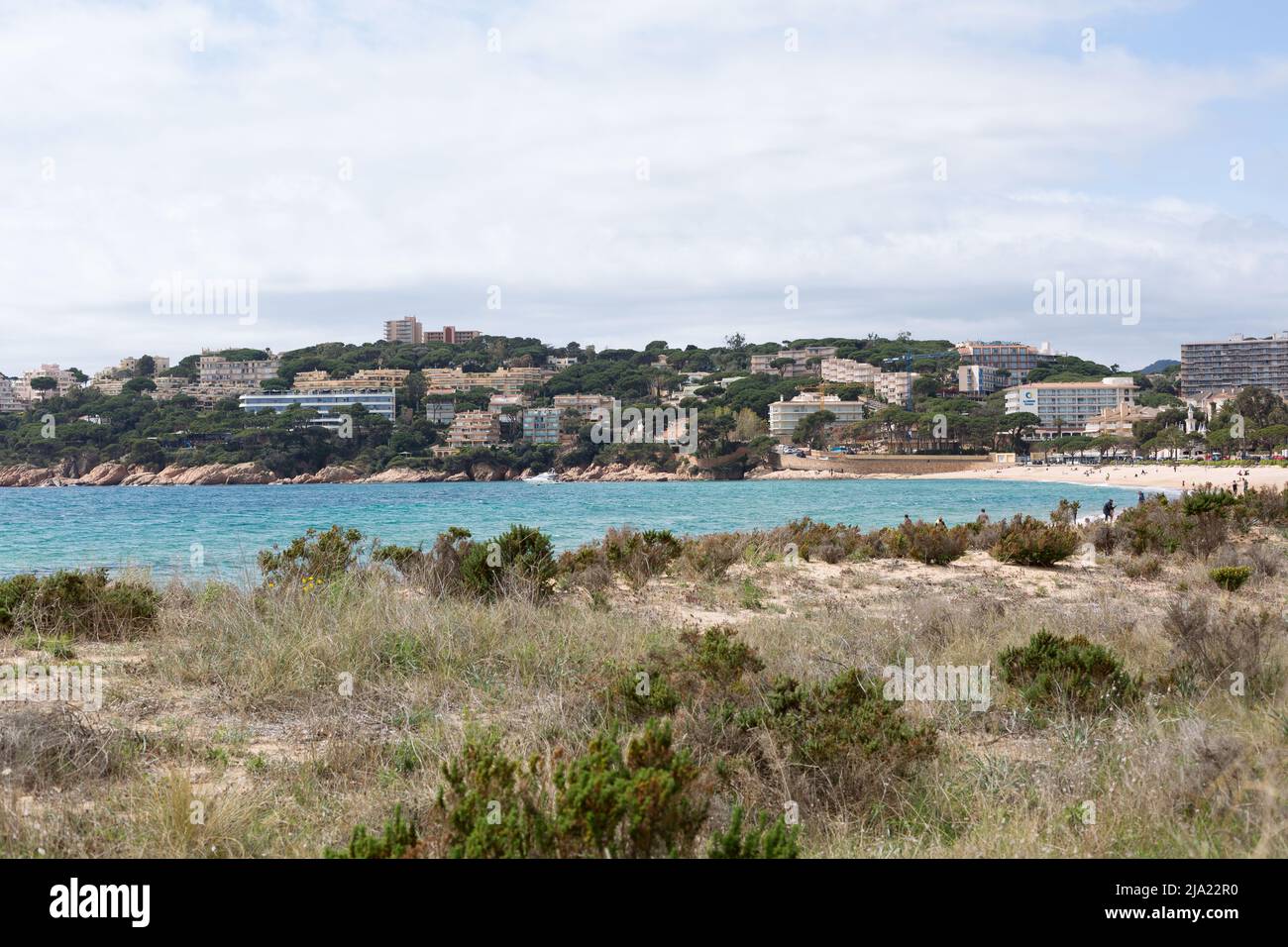 Dune naturali protette su una spiaggia mediterranea, Catalogna settentrionale, Spagna. Foto Stock