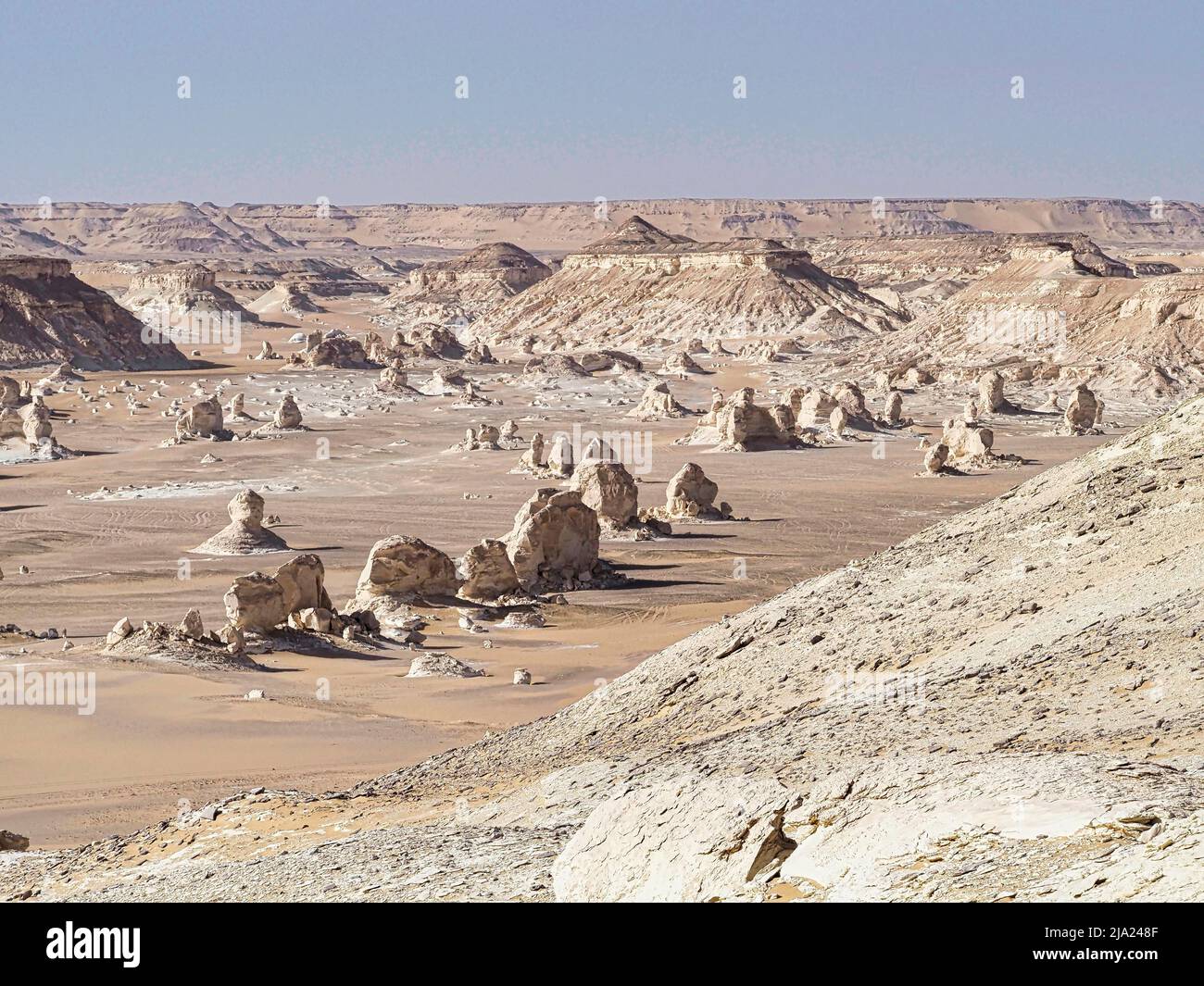 Ampia valle con sculture in gesso nel Westside, deserto Bianco occidentale, vicino Bahariya Oasis, Egitto, Africa Foto Stock