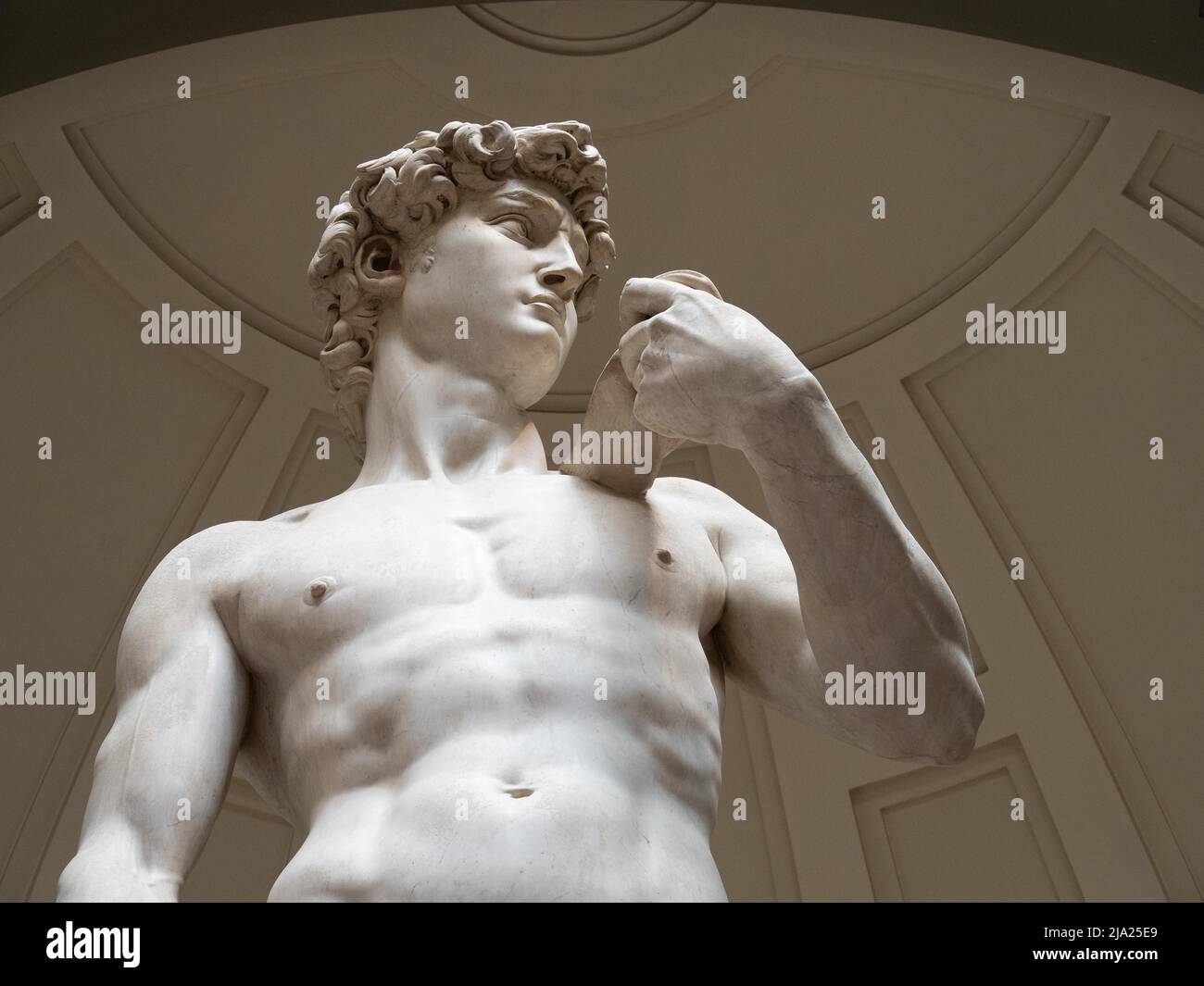 Statua del David di Michelangelo, dettaglio, Galleria dell'Accademia, Firenze, Toscana, Italia Foto Stock