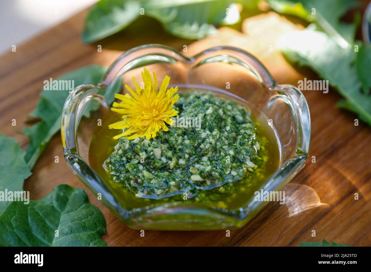 Cucina tedesca del sud, pesto di dente di leone, dente di leone comune (Taraxacum sez. Ruderalia) (precedentemente Taraxacum officinale L.), fiore giallo, erbe, healt Foto Stock