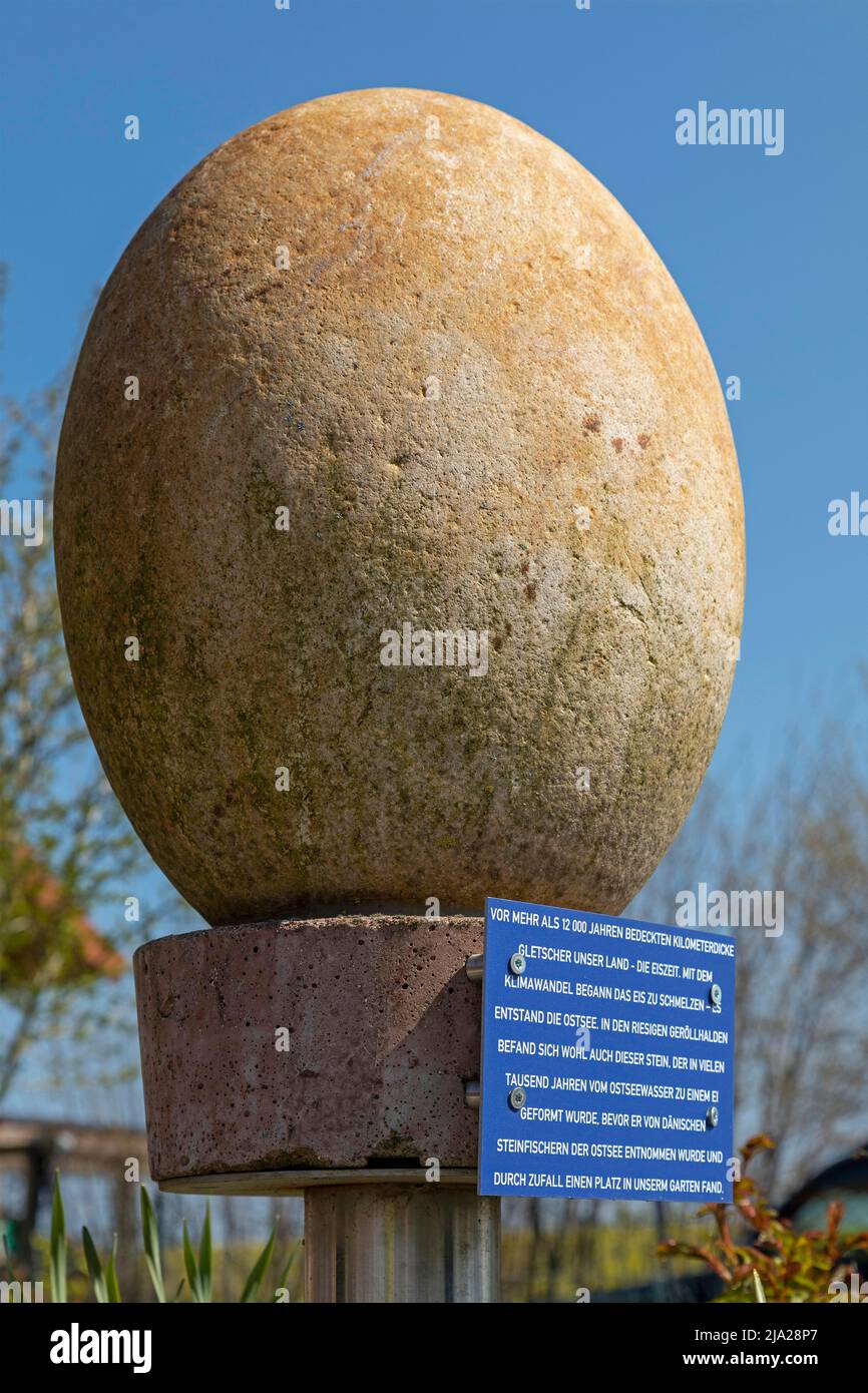 Ice Age pietra a forma di uovo, Pommerby, Geltinger Bay, Schleswig-Holstein, Germania Foto Stock