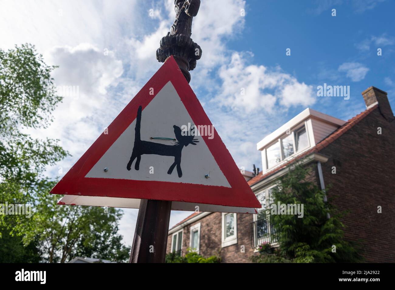 Curioso cartello stradale, gatti dare modo, Amsterdam, Paesi Bassi Foto Stock