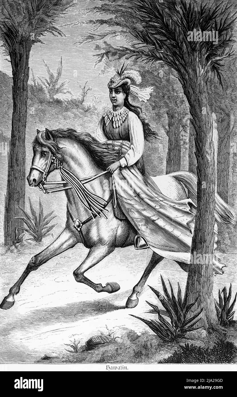 Giovane donna, nativa, cappello, capelli lunghi, cavallo, equitazione, briglia, foresta, paesaggio, illustrazione storica 1881, Hawaii Foto Stock