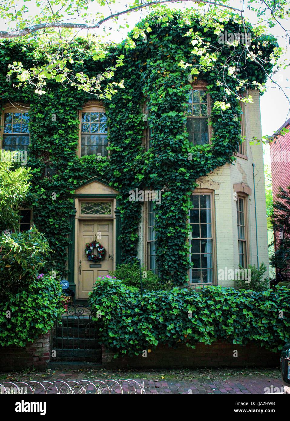 Storica casa di filari ricoperta di viti verdi nel quartiere di Georgetown, District of Columbia. Foto Stock