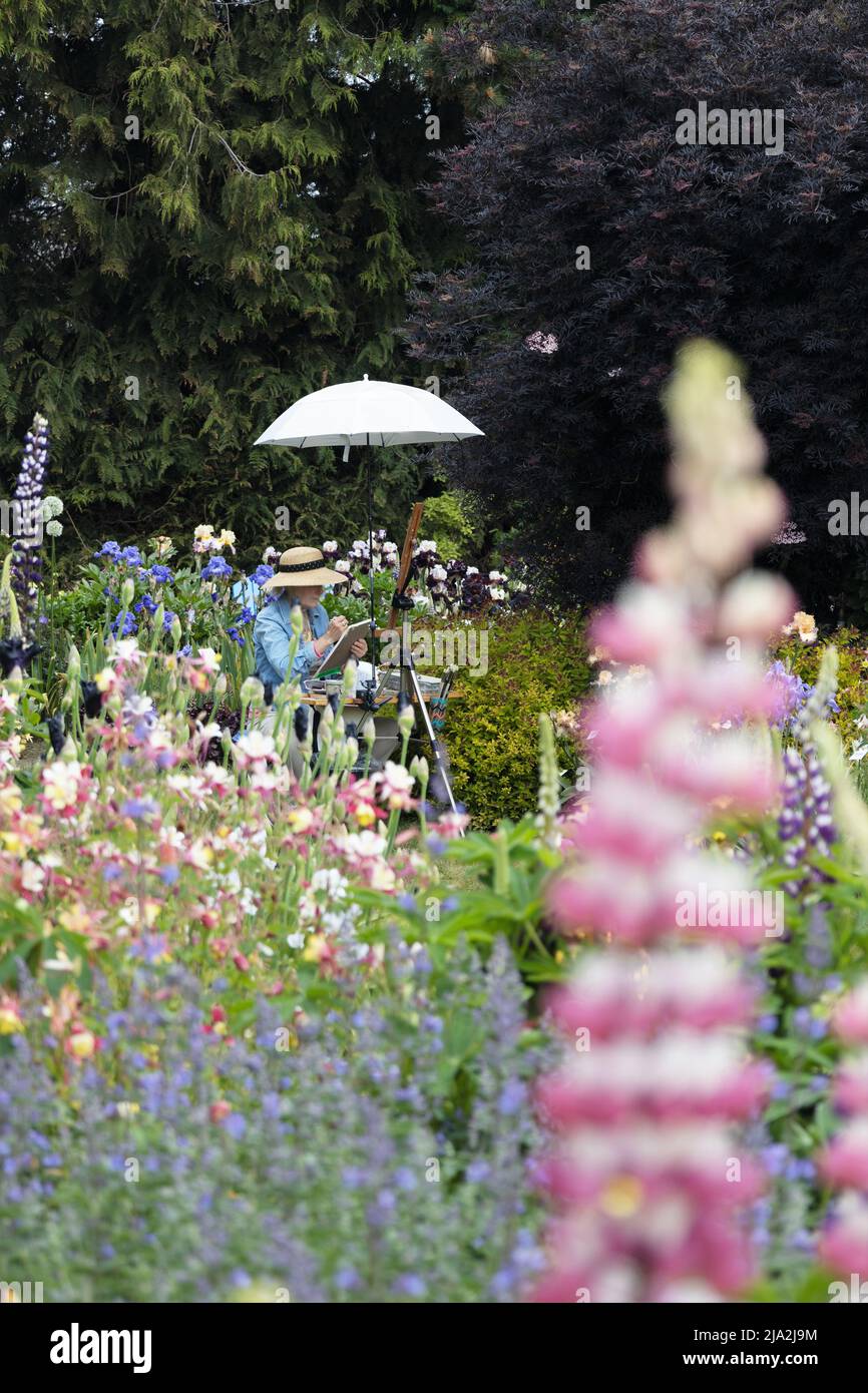 Un artista seduto e disegnato in un bel giardino sotto un ombrello. Foto Stock
