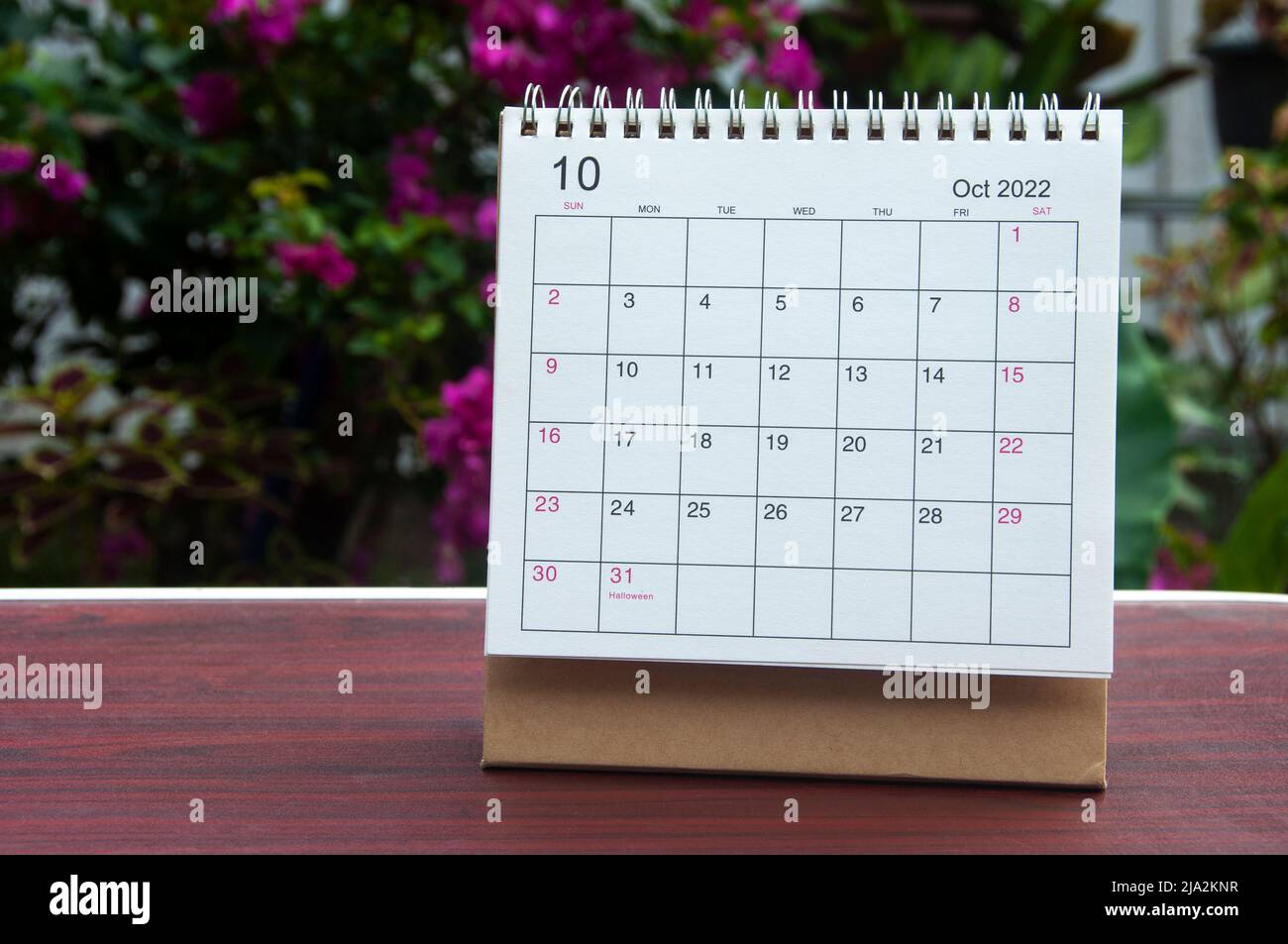 Ottobre 2022 calendario bianco con sfondo sfocato natura. Concetto annuale di calendario Foto Stock