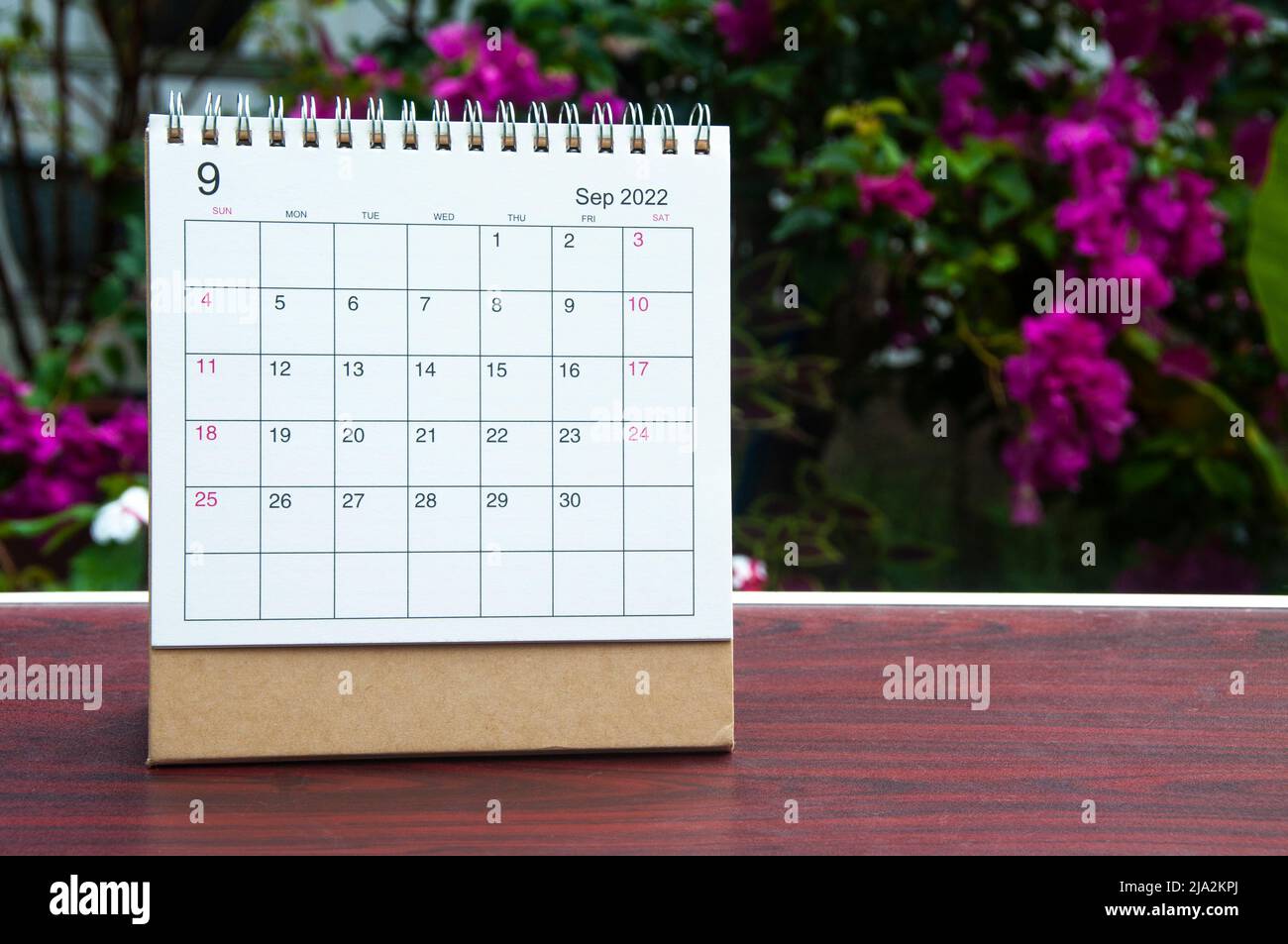 Settembre 2022 calendario bianco con sfondo sfocato natura. Concetto di calendario mensile Foto Stock