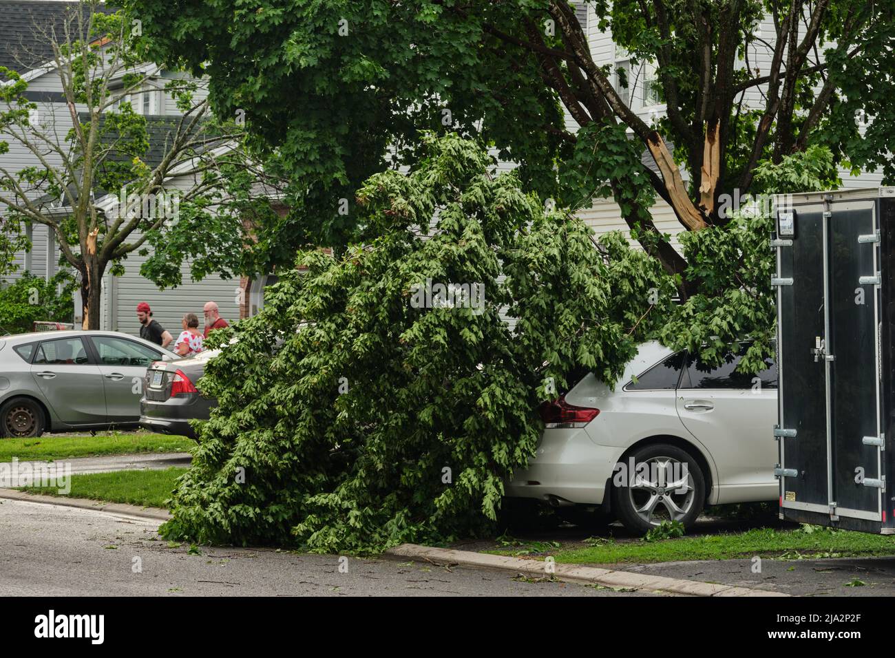 Ottawa, Ontario, Canada - 21 maggio 2022: Rami che si separavano da un tree rest dove caddero sopra una macchina a Barrhaven a seguito di un derecho thunders Foto Stock