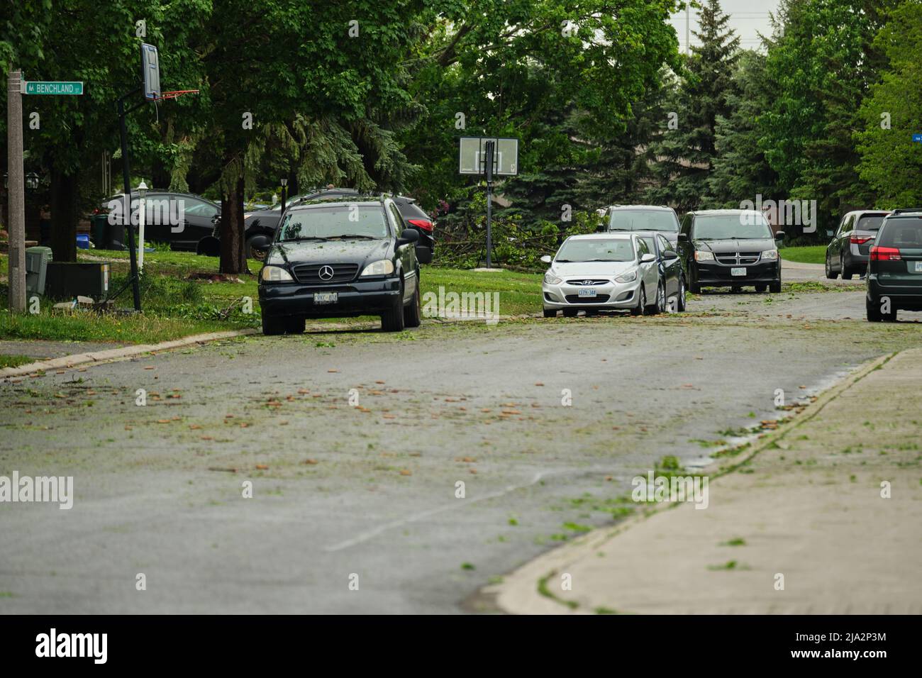 Ottawa, Ontario, Canada - 21 maggio 2022: Foglie e altri detriti sono sparsi attraverso una strada suburbana a Barrhaven dopo una potente tempesta ha causato dama Foto Stock