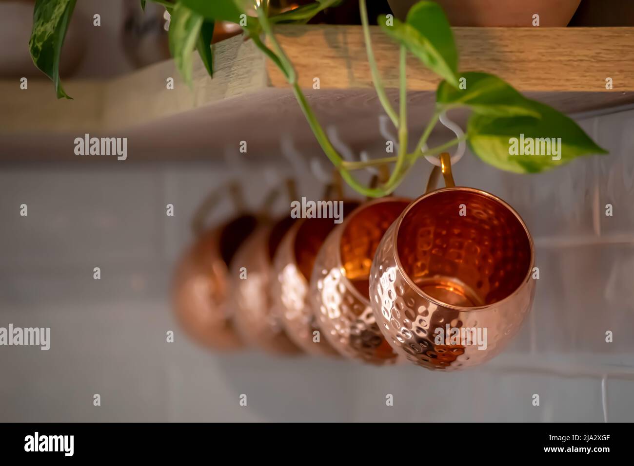 Tazze Mosca Mule di rame appesi agli scaffali della cucina come decor. Foto Stock