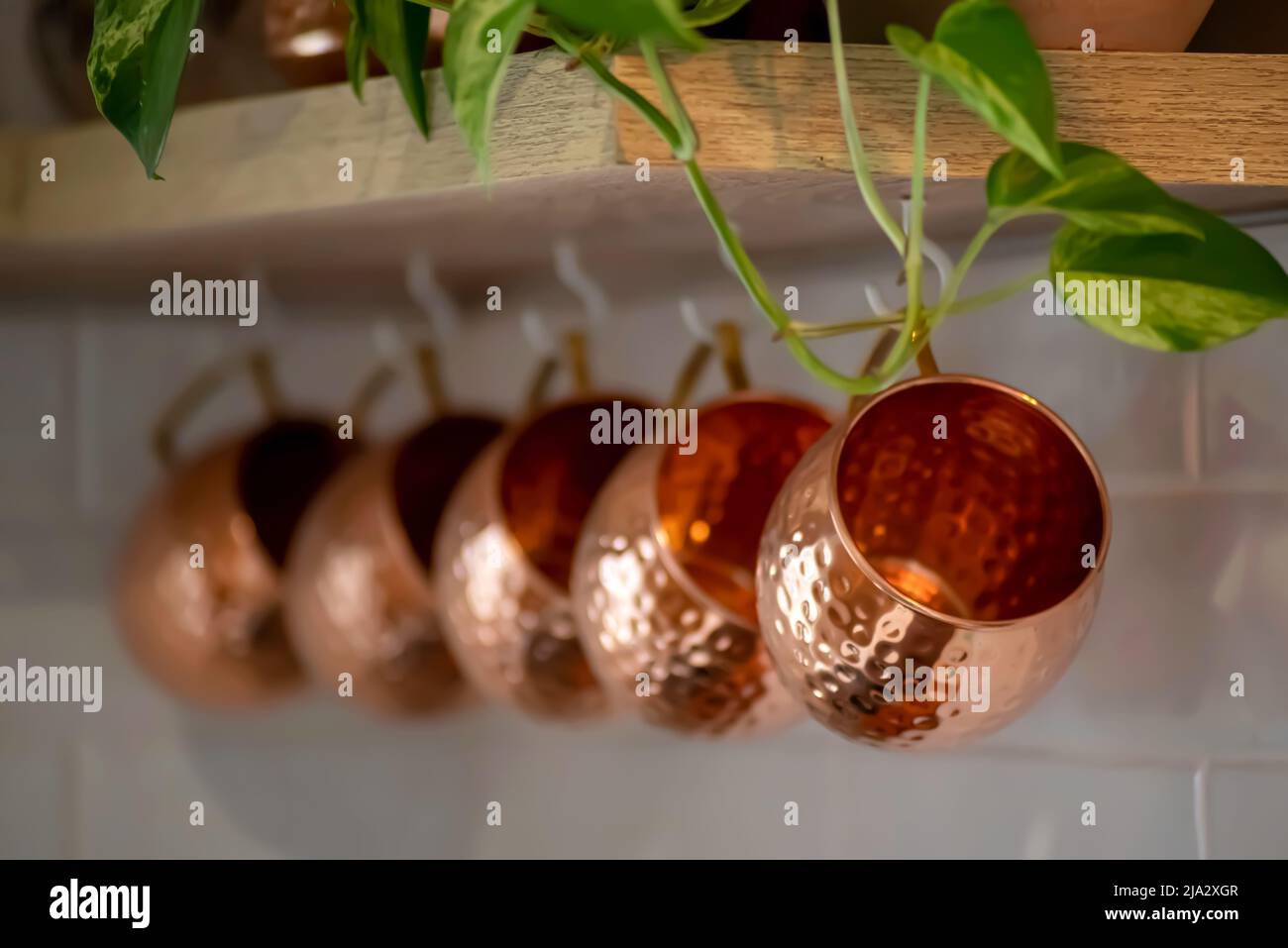 Tazze Mosca Mule di rame appesi agli scaffali della cucina come decor. Foto Stock