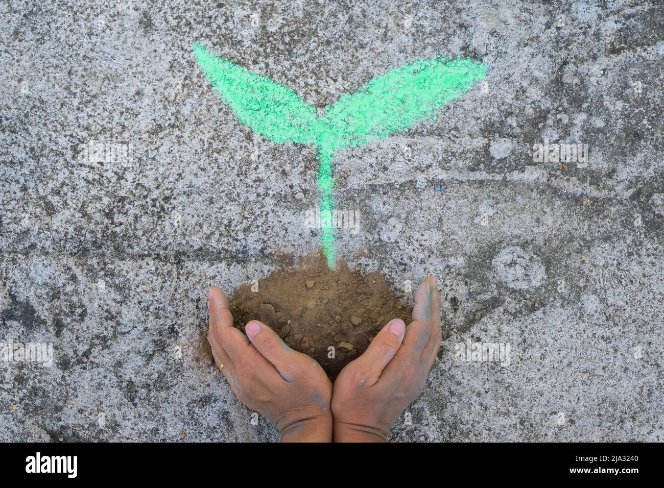 Giovane donna gesturante tenendo in mano un disegno di un piccolo albero a terra. Concetto di giornata mondiale dell'ambiente. Foto Stock