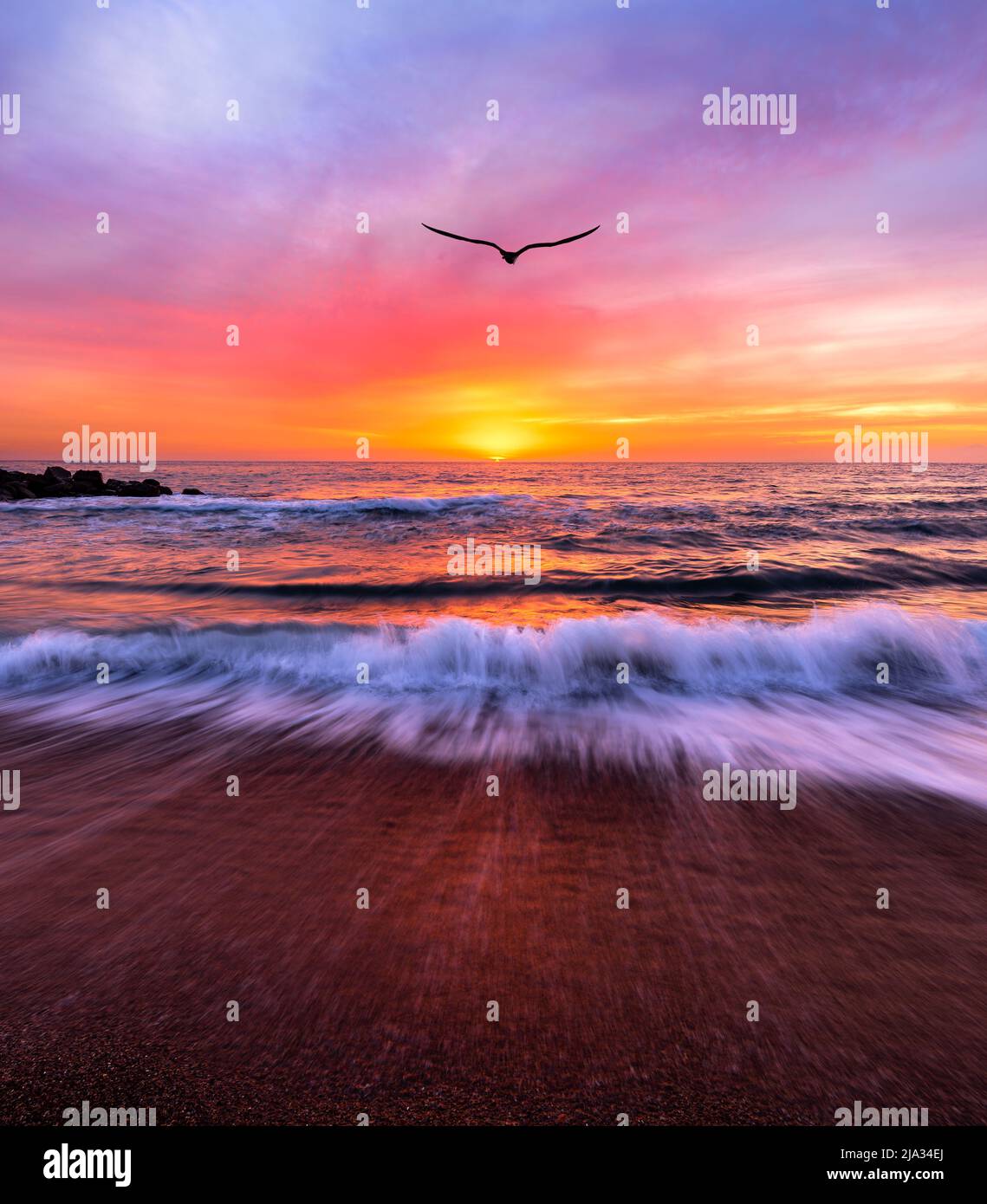 Ocean Landscape Sunset è un singolo uccello che volava verso Un colorato cielo romantico in formato immagine verticale Foto Stock