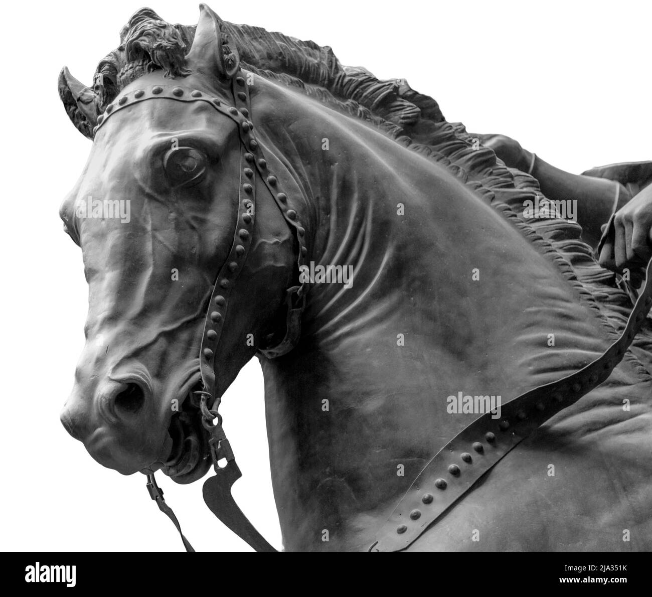 Testa di cavallo di bronzo isolata su sfondo bianco. Foto Stock