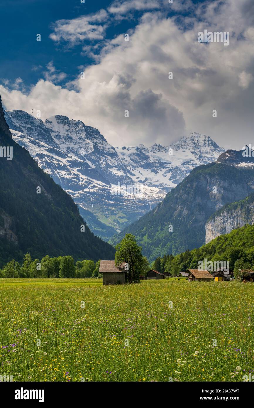 Paesaggio montano estivo panoramico, Lauterbrunnen, Canton Berna, Svizzera Foto Stock