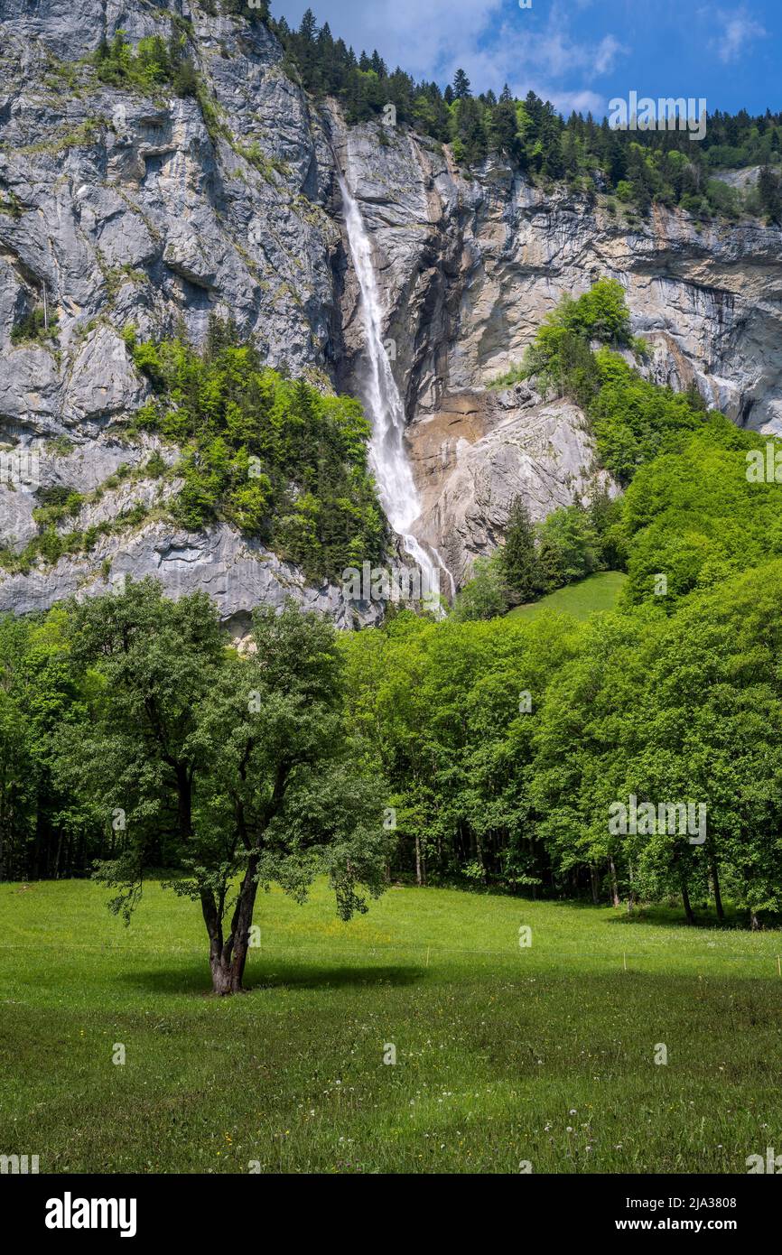 Cascata di Staubbach, Lauterbrunnen, Canton Berna, Svizzera Foto Stock