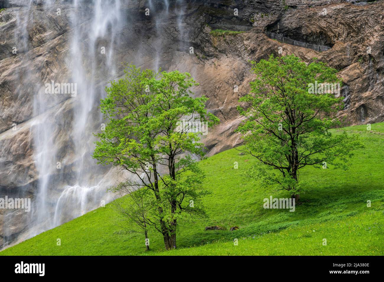 Cascata di Staubbach, Lauterbrunnen, Canton Berna, Svizzera Foto Stock