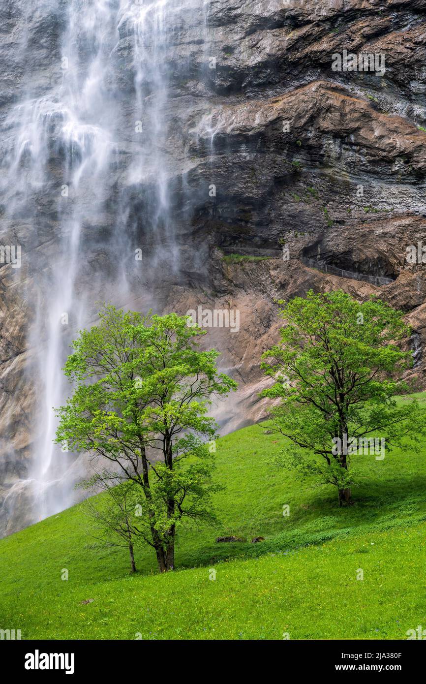 Cascata di Staubbach, Lauterbrunnen, Canton Berna, Svizzera Foto Stock