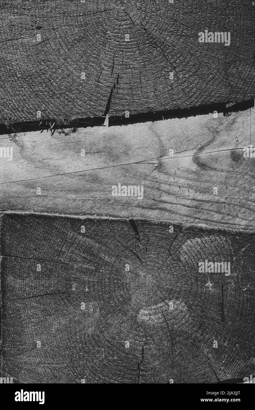Struttura in legno del ceppo Cabin.Closeup shot. Foto Stock