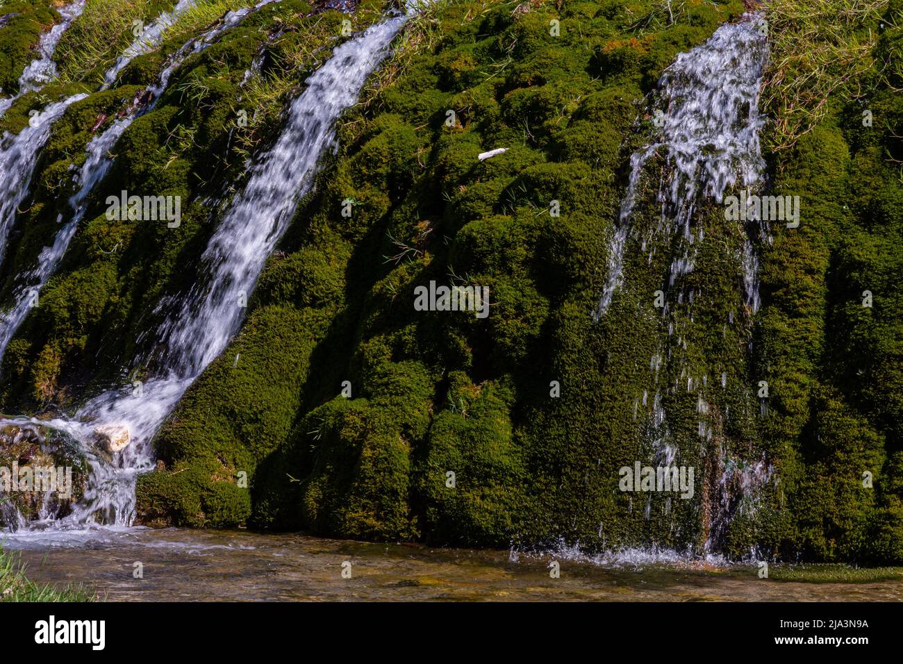 Parco fluviale di Santa Maria del Molise, Isernia. Scorcio dell'estate Foto Stock