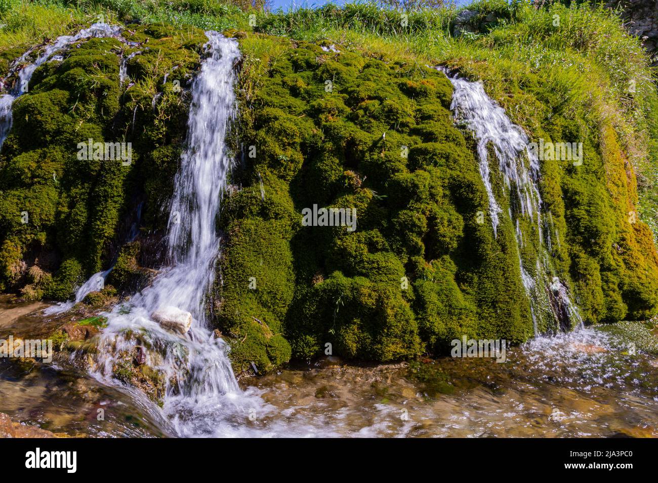 Parco fluviale di Santa Maria del Molise, Isernia. Scorcio dell'estate Foto Stock