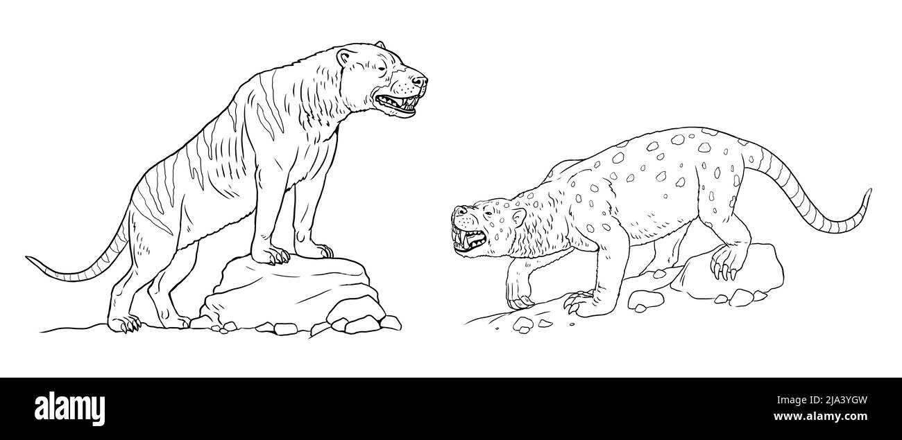 Predatori preistorici - megistotherium e sarkastodon. Disegno con animali estinti. Disegno silhouette per libro da colorare. Foto Stock