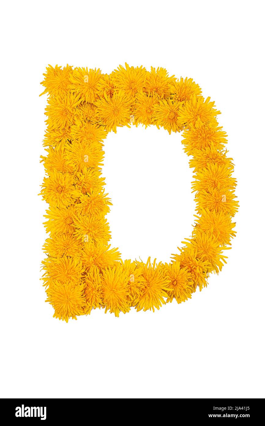 L'alfabeto inglese dei fiori di dente di leone è isolato su uno sfondo bianco. Lettera D Foto Stock