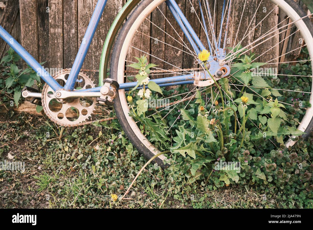 Bicicletta d'epoca di fronte alla vecchia casa rustica, coperta con le piante e l'erba. Foto Stock