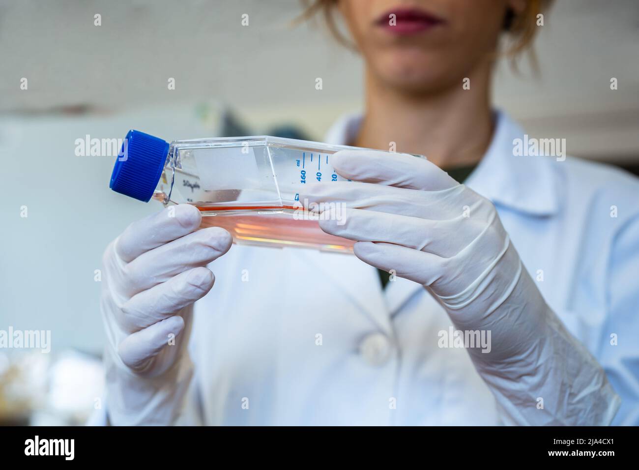 Scienziata donna in camice da laboratorio che tiene un pallone con coltura cellulare Foto Stock