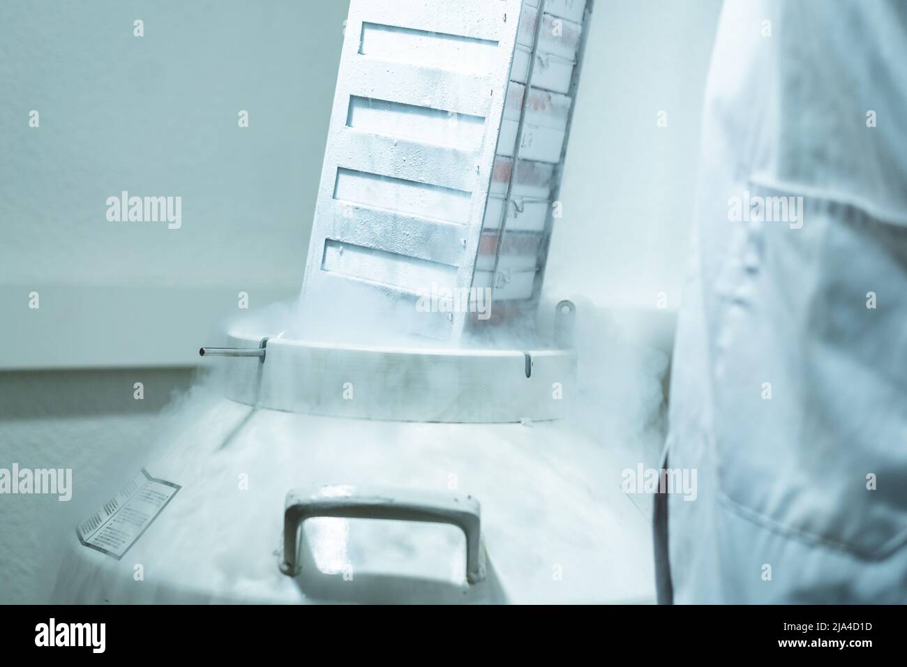 Rack con celle all'interno di un serbatoio criogenico ad azoto liquido presso il laboratorio Life Sciences. Manipolazione proffesionale in camice da laboratorio Foto Stock