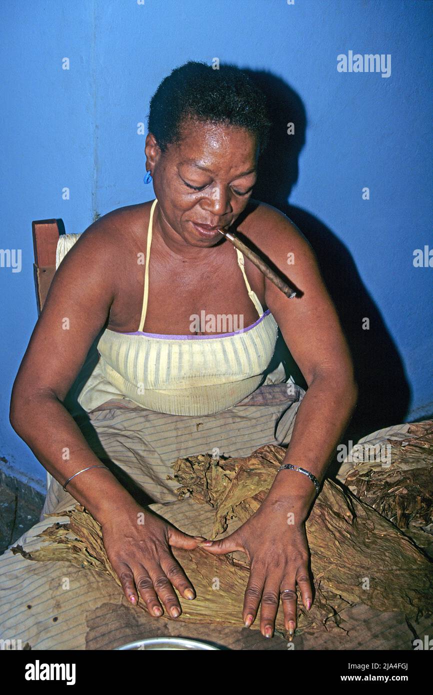 Donna cubana che arrotola sigari e fuma cuba, fabbrica di sigari a Pinar del Rio, Cuba, Caraibi Foto Stock