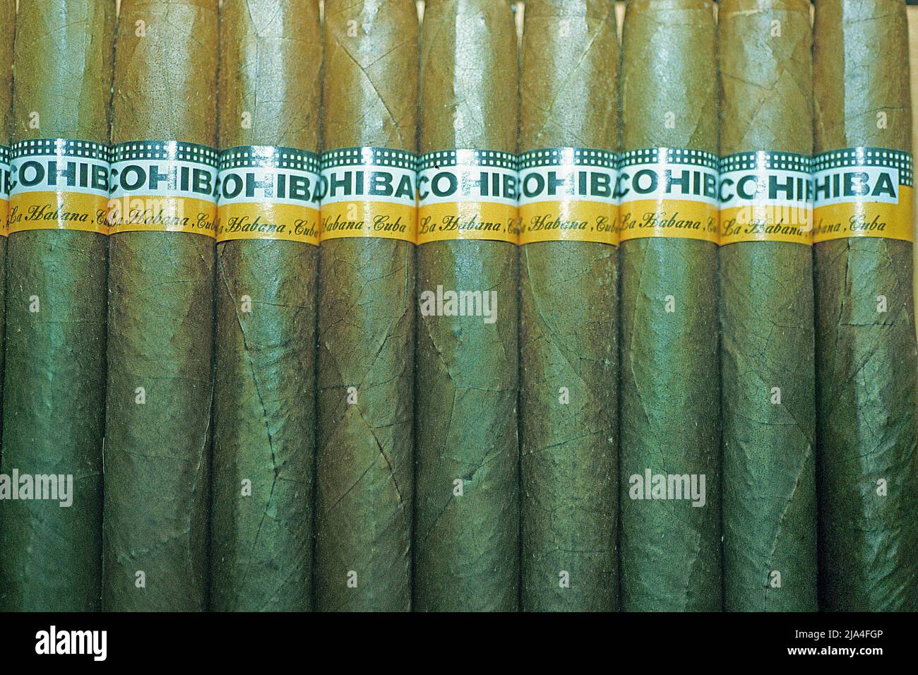 Cohibas, sigari migliori e più costosi di Cuba, detta anche Regina dei sigari, Pinar del Rio, Cuba, Caraibi Foto Stock