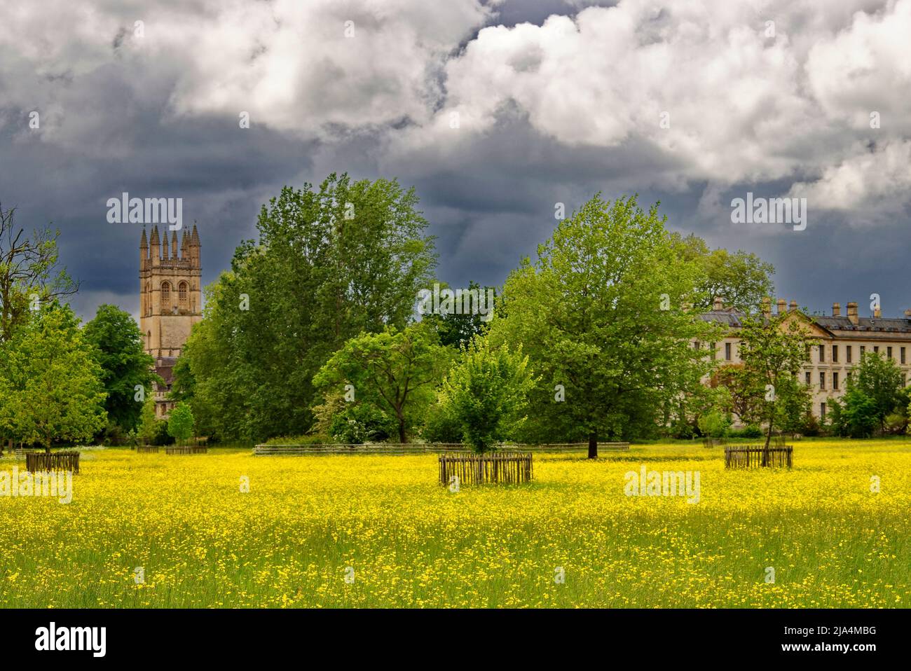 OXFORD CITY ENGLAND MAGDALEN COLLEGE ADDISONS PASSEGGIATA ATTRAVERSO IL PRATO D'ACQUA FINO ALLA GRANDE TORRE E NUOVI EDIFICI IN PRIMAVERA Foto Stock