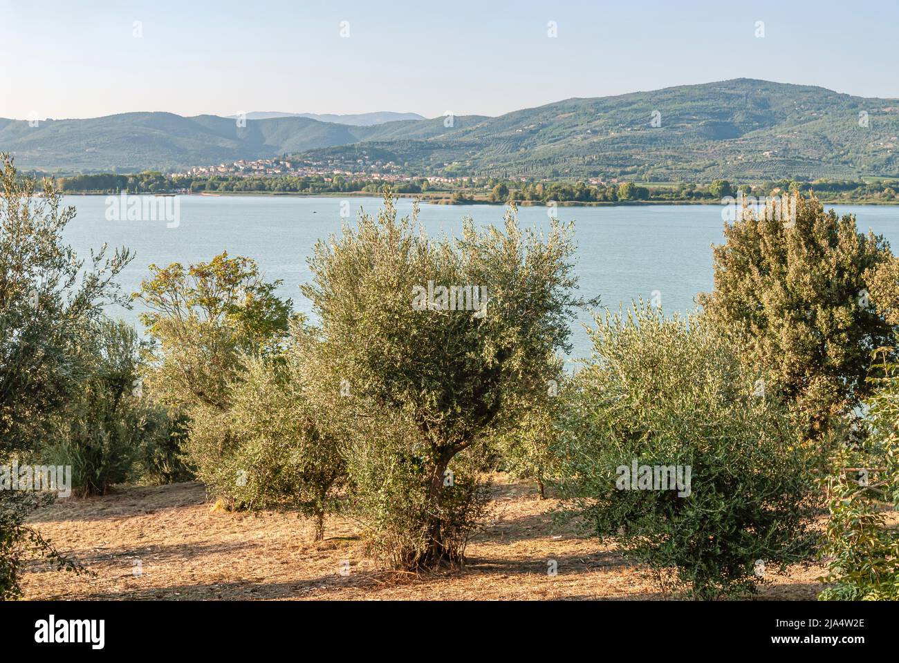 Vista panoramica dalla Chiesa di San Michele Arcangelo all'Isola maggiore attraverso il Lago Trasimeno, Umbria, Italia Foto Stock