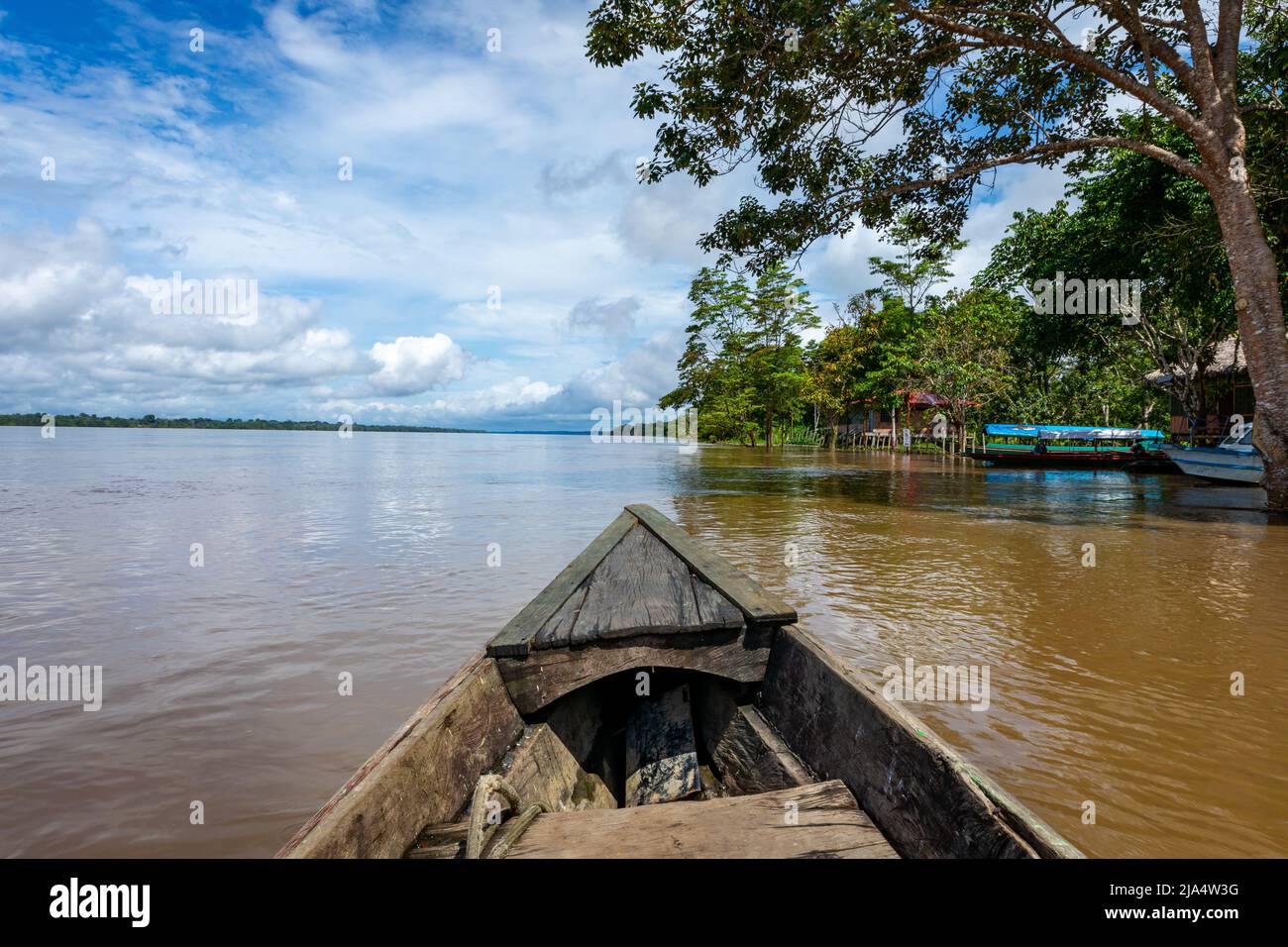 Amazon Rainforest Riverbank. Naviga lungo il fiume Yanayacu nella giungla amazzonica, vicino a Iquitos, Perù. Sud America. Foto Stock