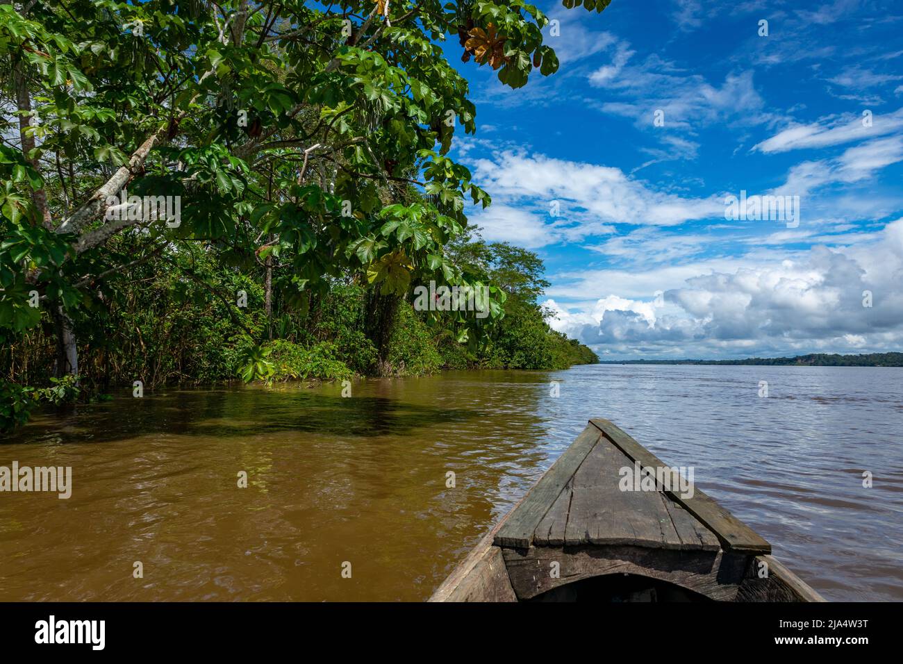Amazon Rainforest Riverbank. Naviga lungo il fiume Yanayacu nella giungla amazzonica, vicino a Iquitos, Perù. Sud America. Foto Stock