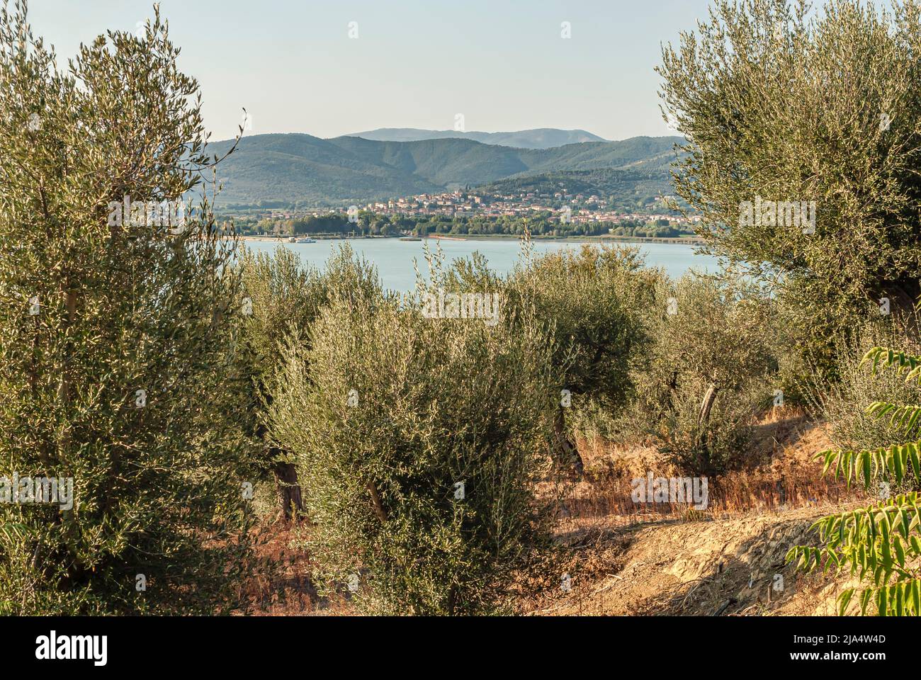 Vista panoramica dalla Chiesa di San Michele Arcangelo all'Isola maggiore attraverso il Lago Trasimeno, Umbria, Italia Foto Stock