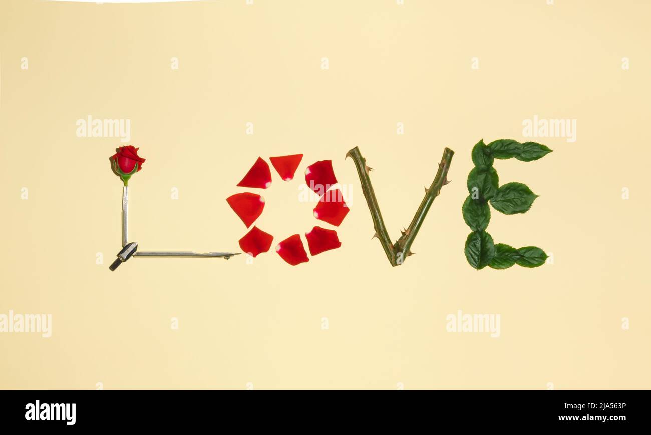 La parola D'AMORE fatta con fiore di rosa, petali, foglie e branche. Buon San Valentino, Festa della mamma, 8 marzo, concetto di biglietto di auguri per la Giornata Mondiale della Donna. Foto Stock