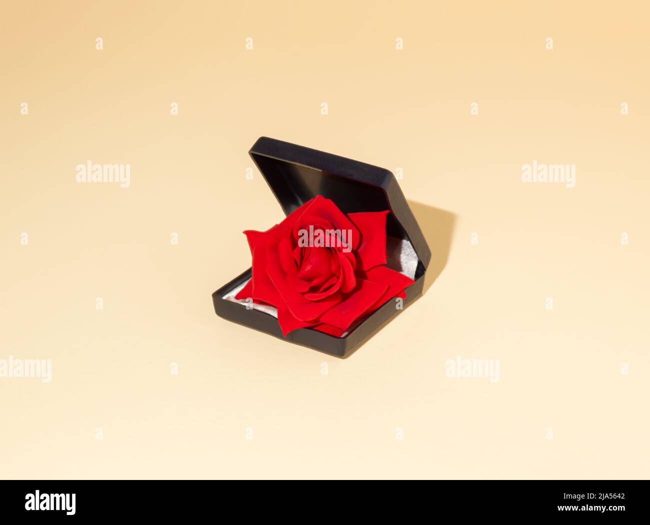 Concetto creativo minimal fatto di fiore di rosa rosso in scatola anello di aggancio su sfondo beige. Composizione moderna per matrimoni. Foto Stock