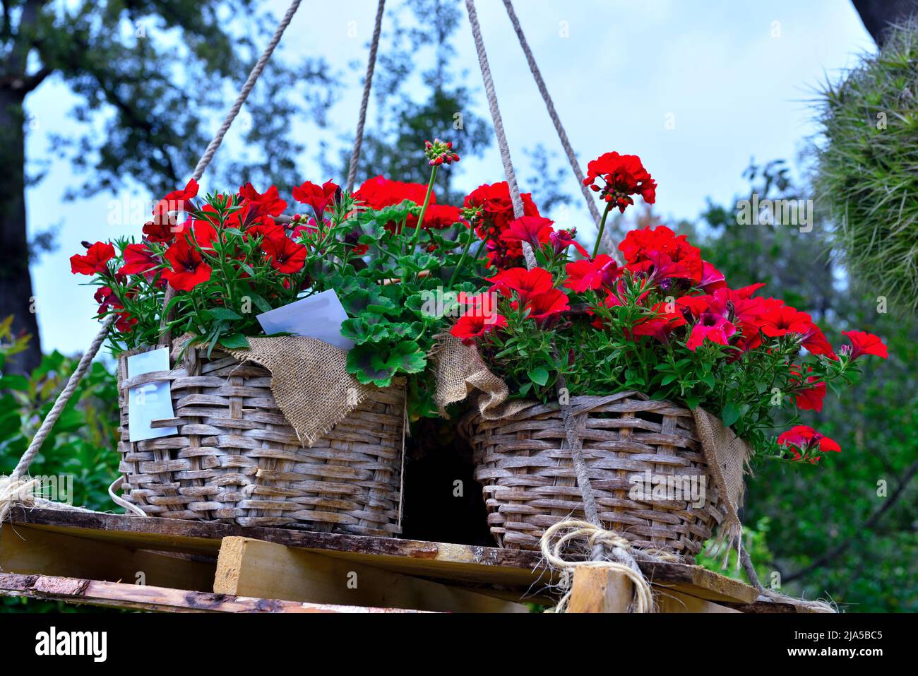 parchi euroflora nervi, giardino fiorito genova italia Foto Stock