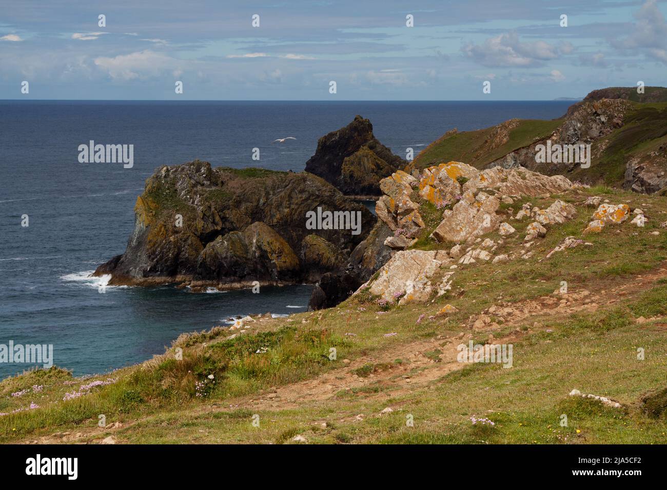 Scogliere di Kynance in alta marea con mari blu scuro con scogliere sormontate da erba Foto Stock
