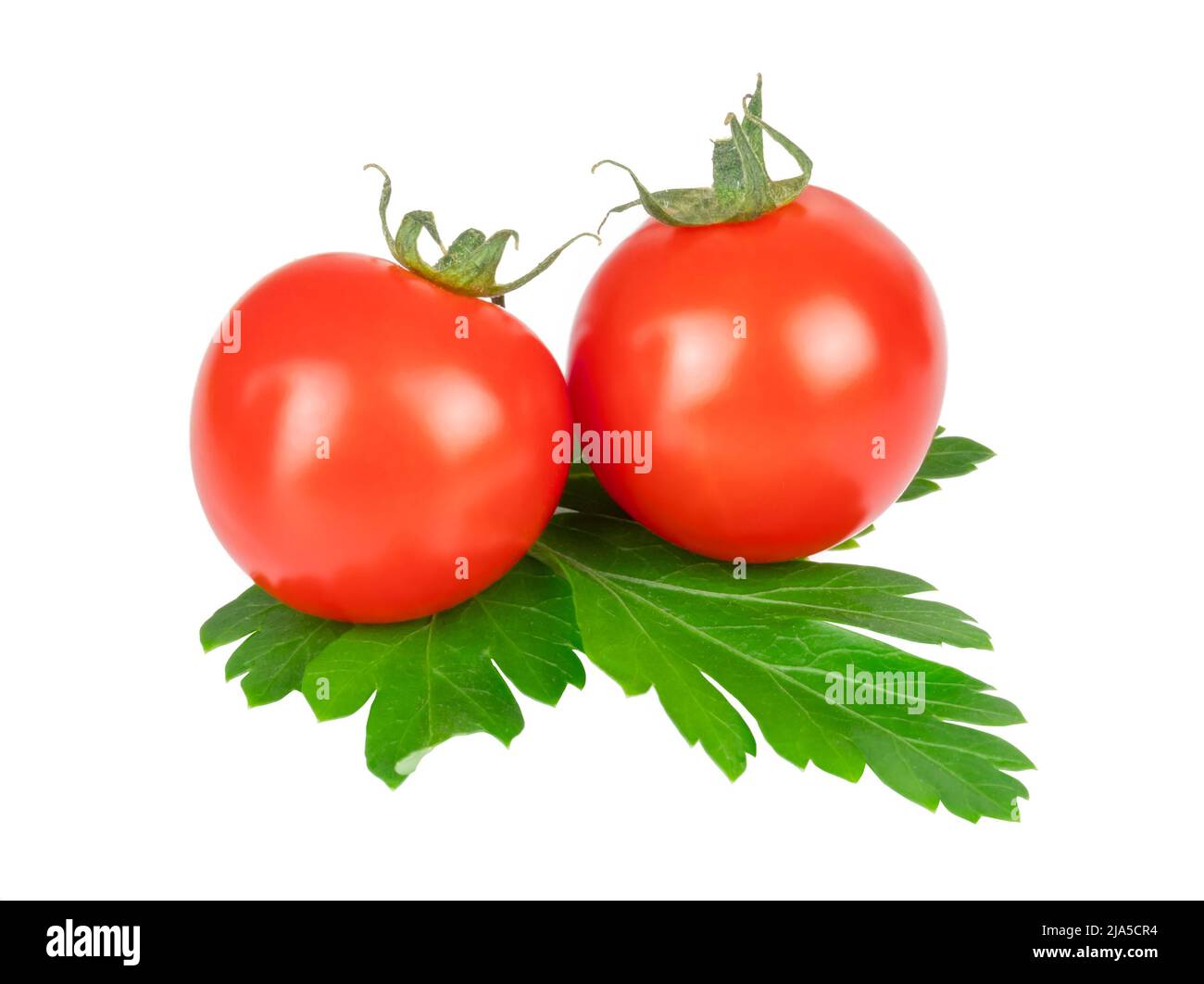 Due pomodori ciliegini su una foglia di prezzemolo verde isolato su bianco Foto Stock