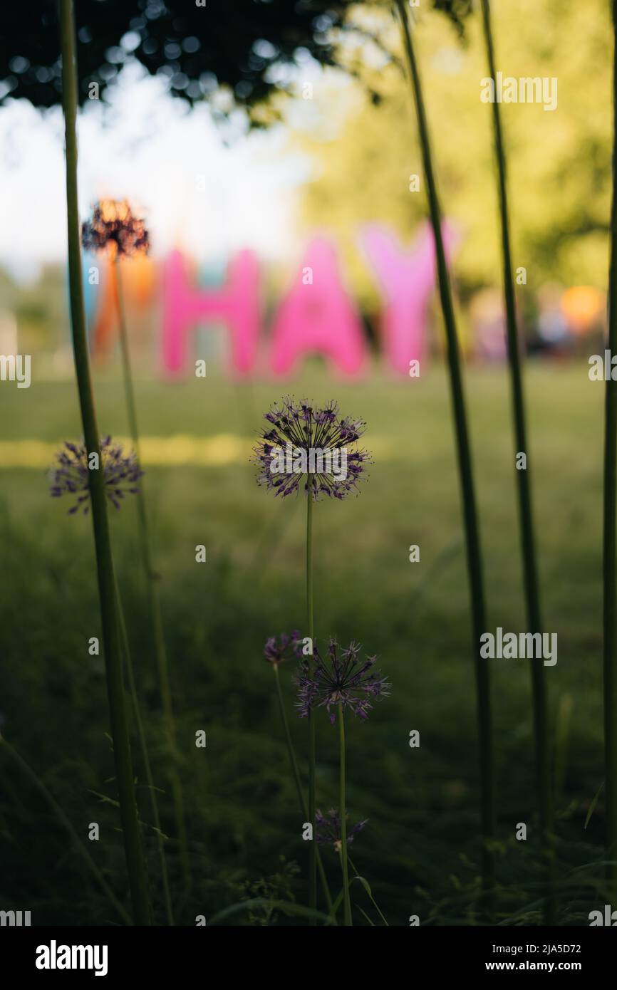 Hay-on-Wye, Galles, Regno Unito. 27th maggio 2022. Atmosfera generale del Festival Hay 2022 in Galles. Credit: Sam Hardwick/Alamy. Foto Stock