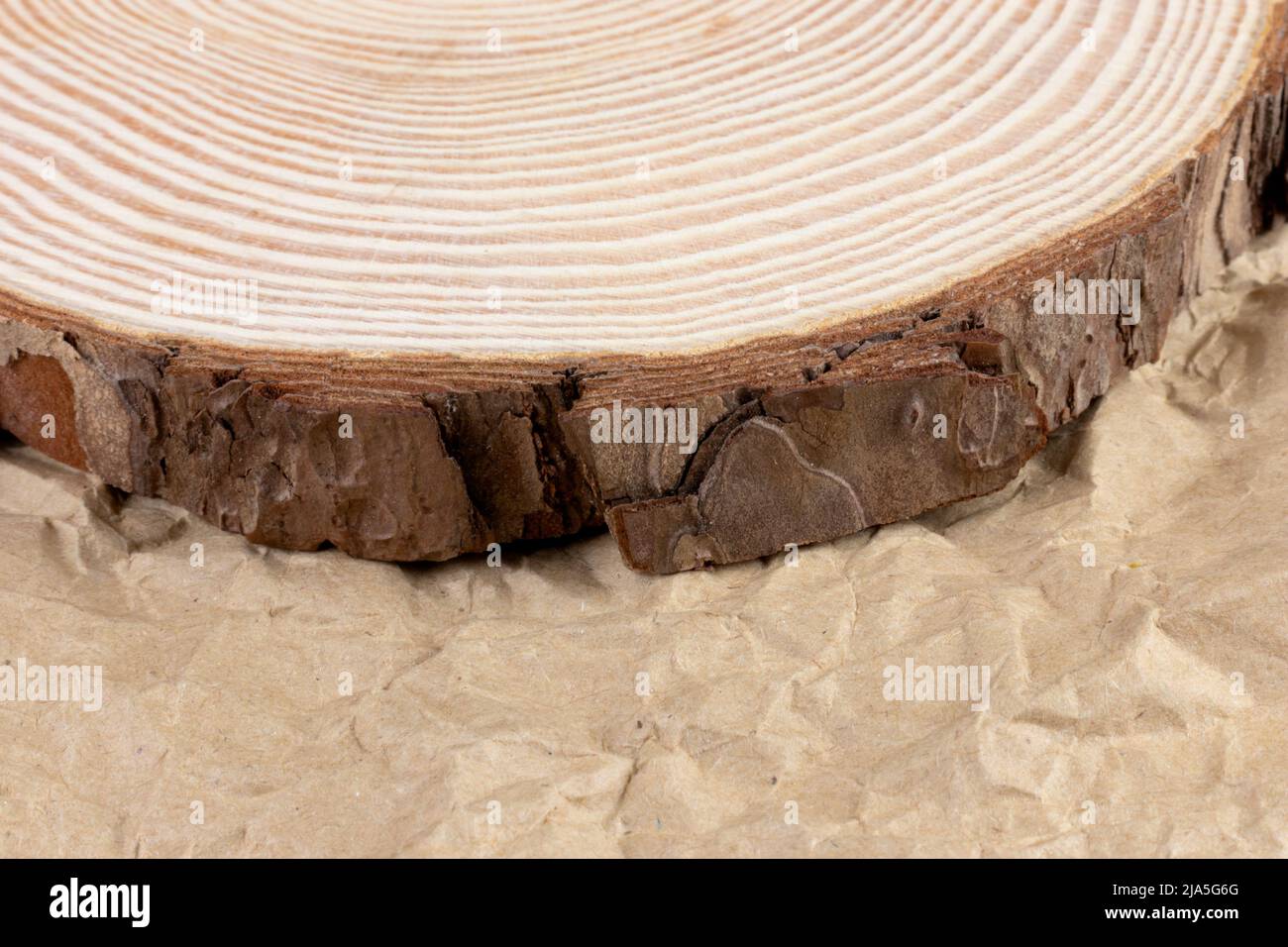 Fetta di albero, lastra, biscotto con anelli annuali su rusticcrampledartigiapaper primo piano Foto Stock