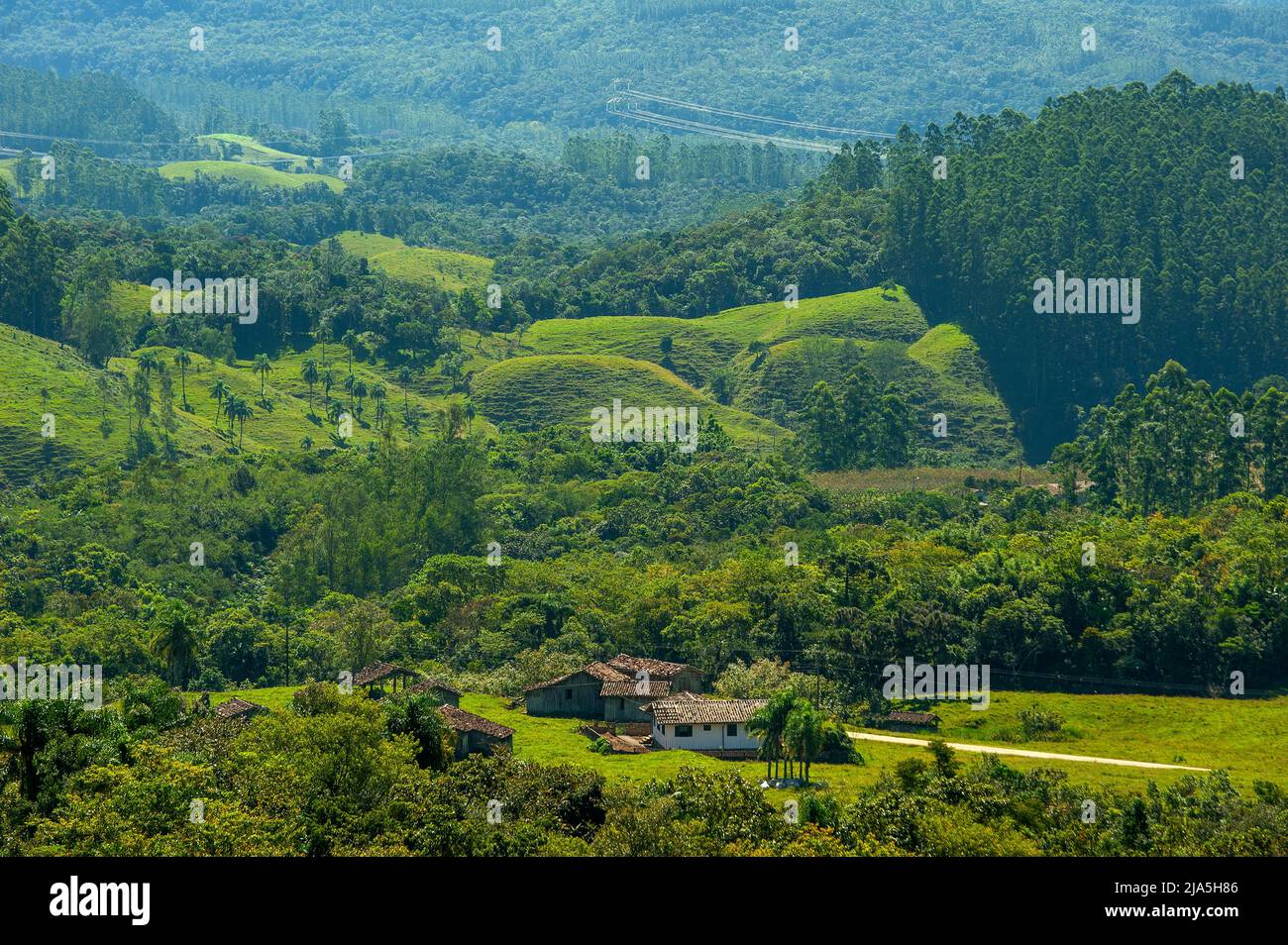 Una fattoria circondata da natura verde, la vita rurale sullo stato di Santa Catarina, Brasile Foto Stock