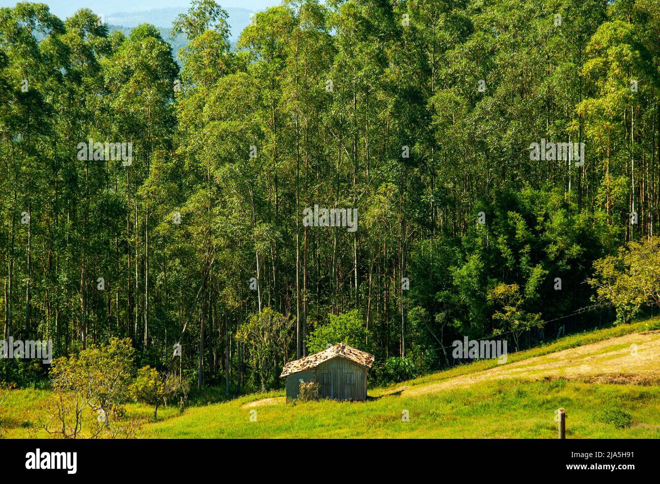 La vita rurale nello stato di Santa Catarina, Brasile Foto Stock